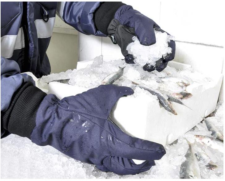 Cold Room Gloves