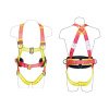 Full Body Harness in UAE