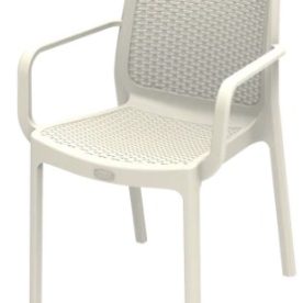 WhatsApp Image 2024-08-03 at 1.06.40 PM